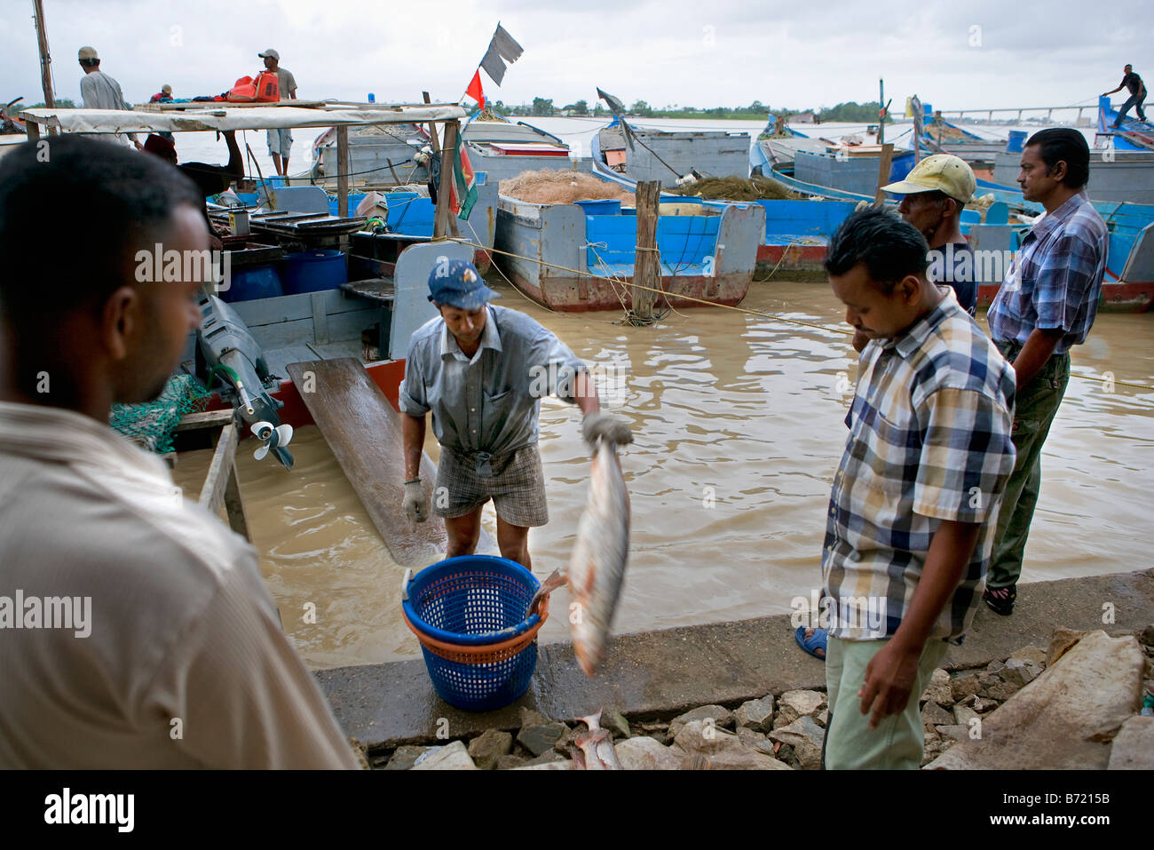 Suriname, Paramaribo. Fishing port. Stock Photo