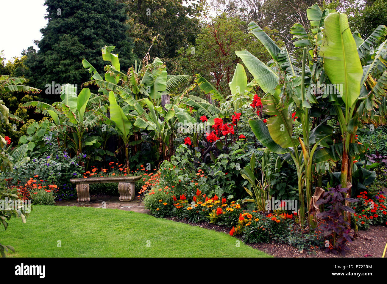 Tropical garden border uk hires stock photography and images Alamy
