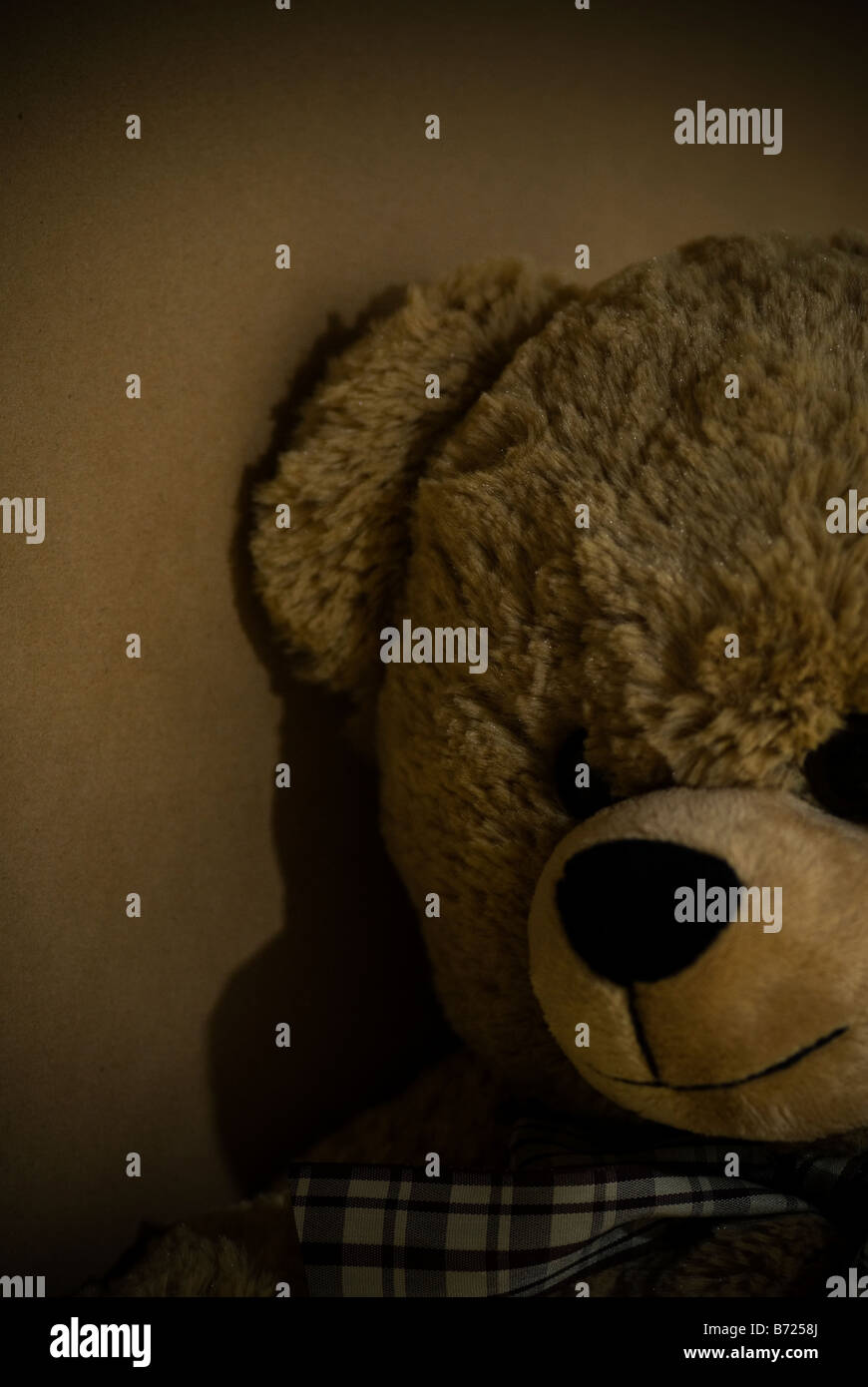 Angry teddy bear Stock Photo