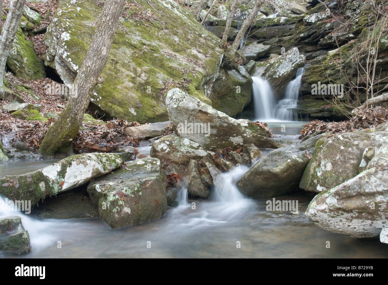 Kings River Falls is an Arkansas Natural Heritage Area located in the