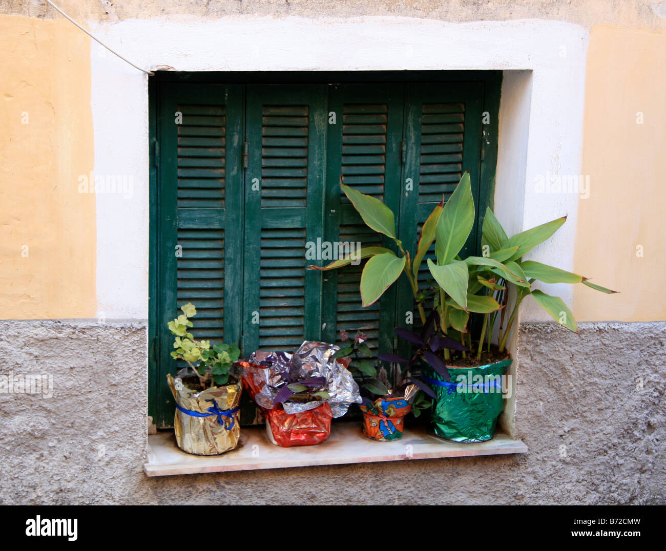 row of plant pots against green shutters Stock Photo