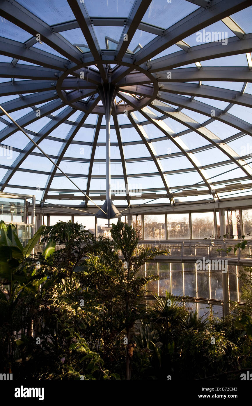 The Winter Gardens of Sunderland Museum. Tropical plants stand in a