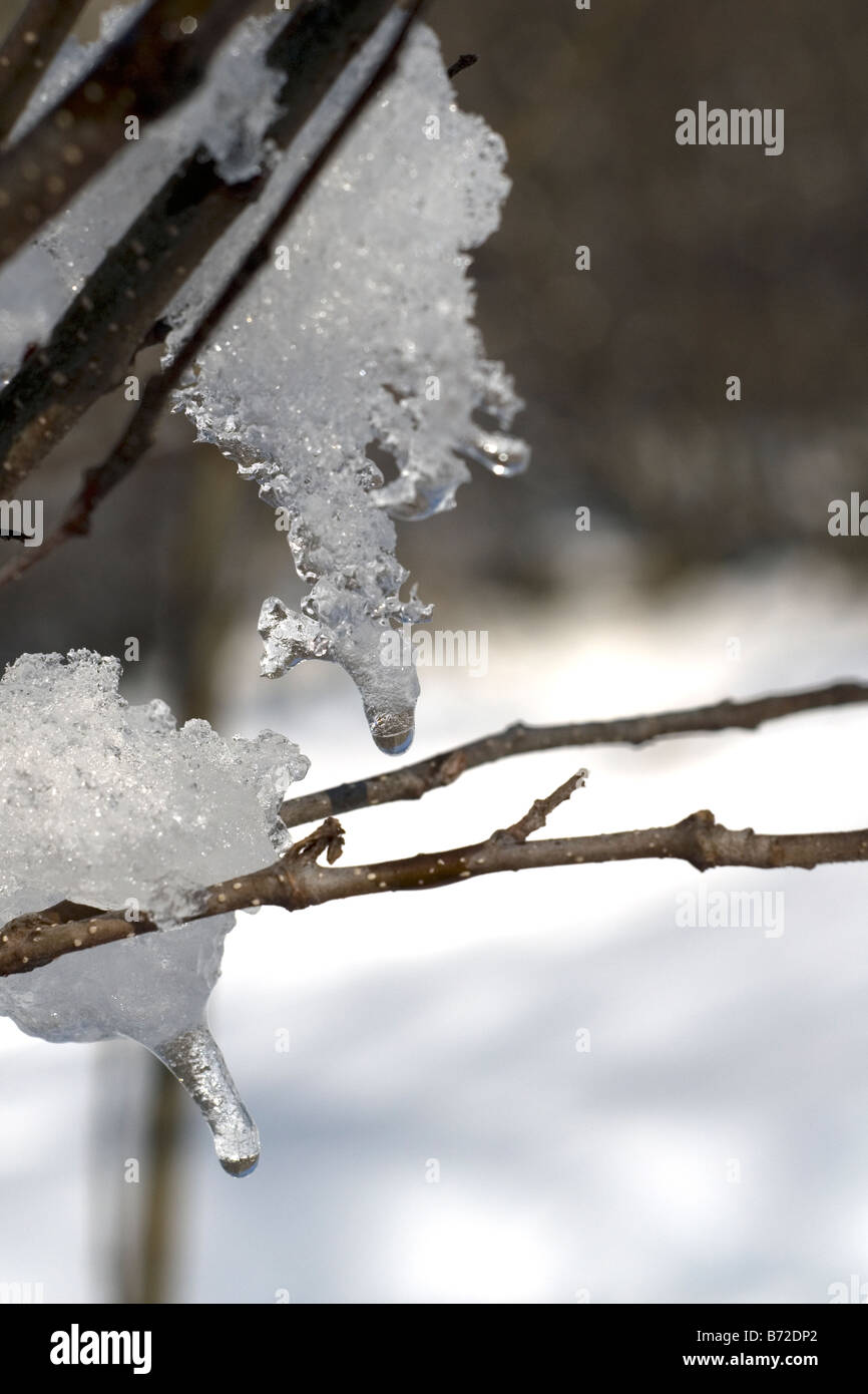 melting snow. Winter landscape Stock Photo Alamy