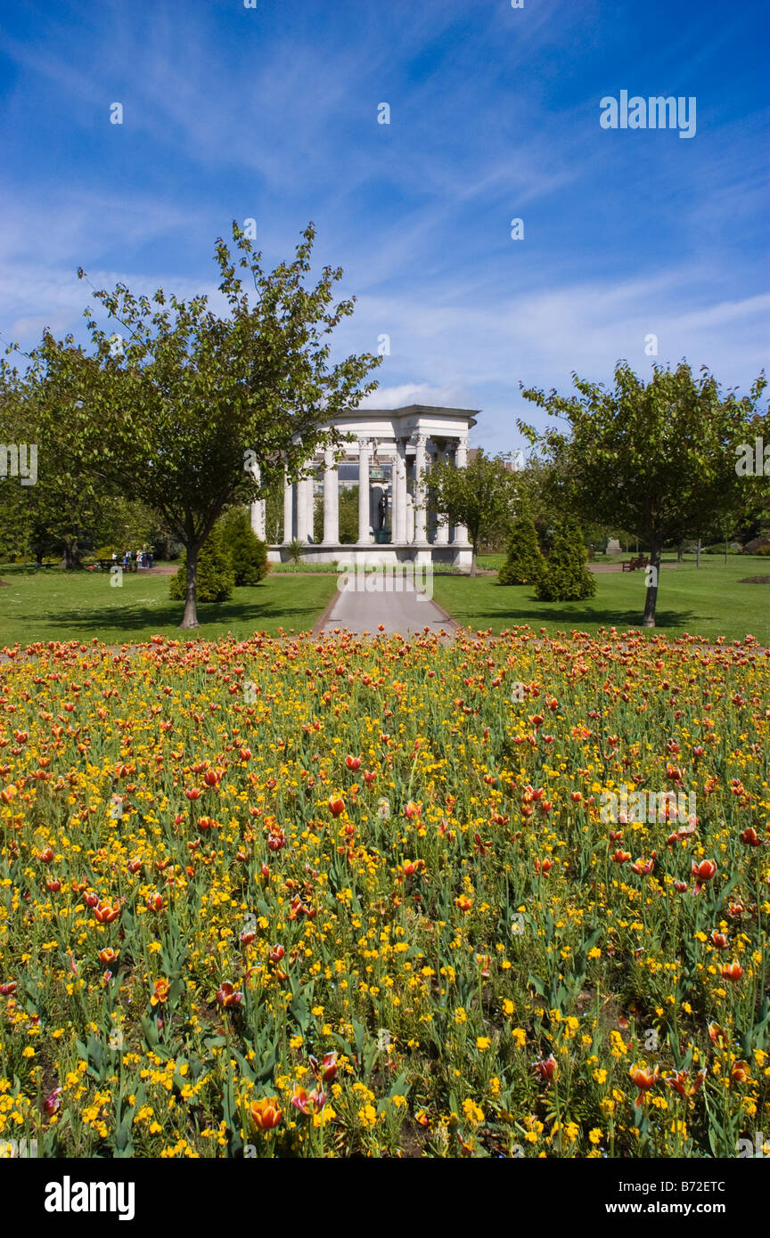 Springtime tulips in a Cardiff Park Stock Photo