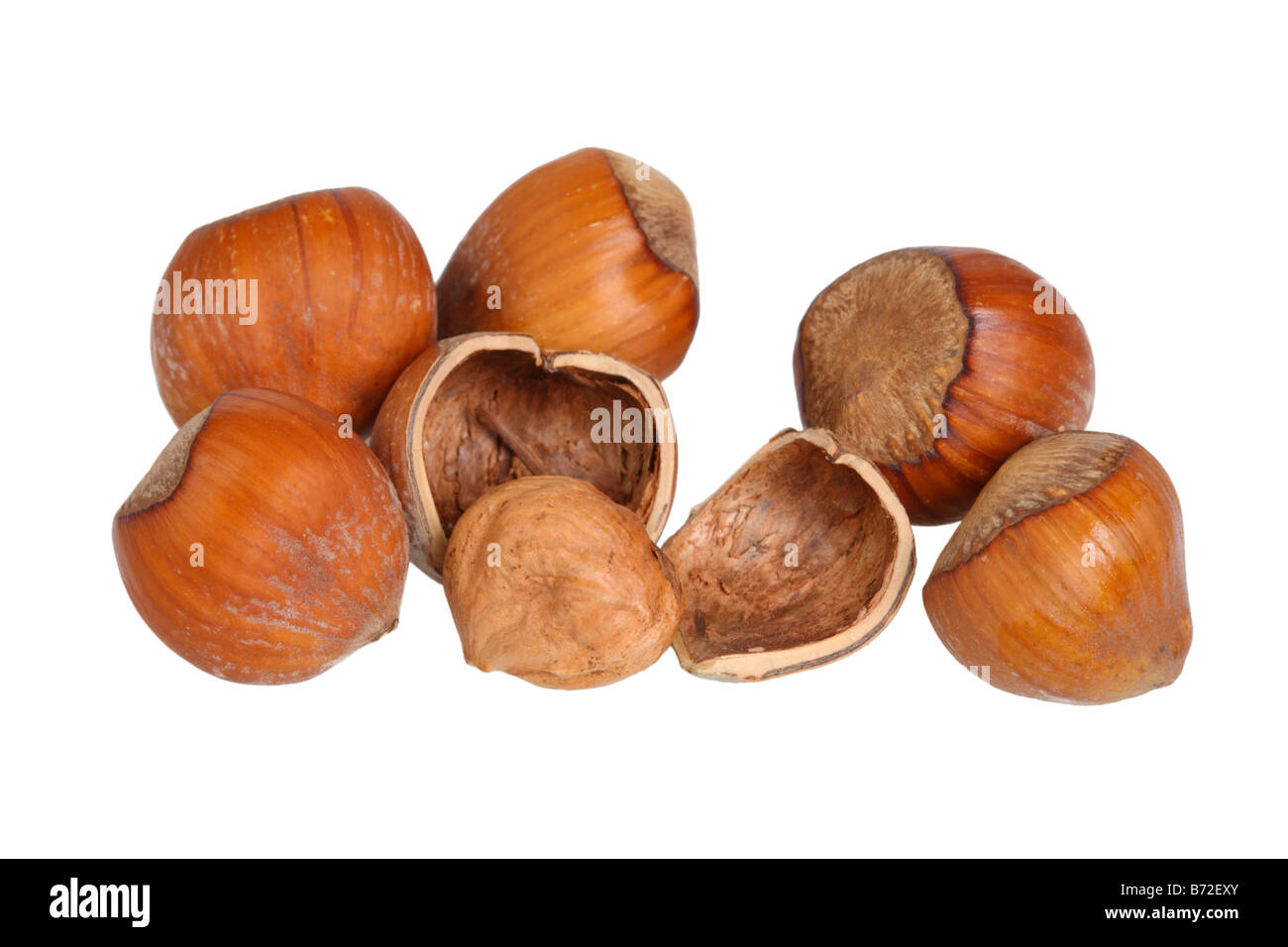 Close up of hazelnuts cut out on white background Stock Photo