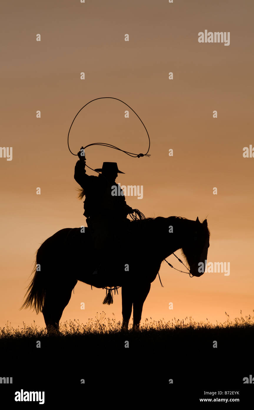 Sunset silhouette of cowboy on horse with lasso. End of the day on the ranch. Stock Photo