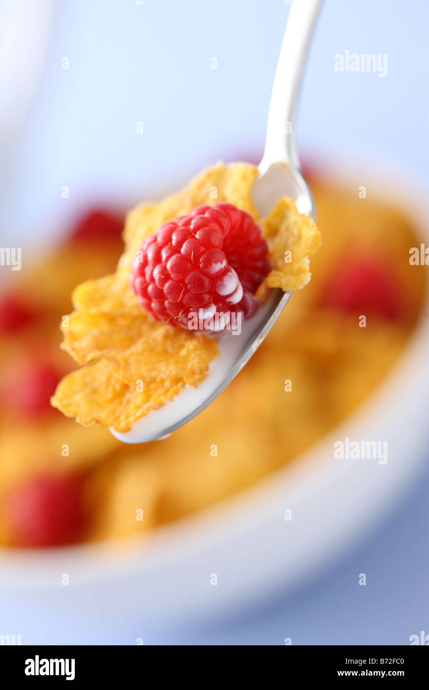 Spoon with milk corn flakes and raspberry cereal bowl in background Stock Photo