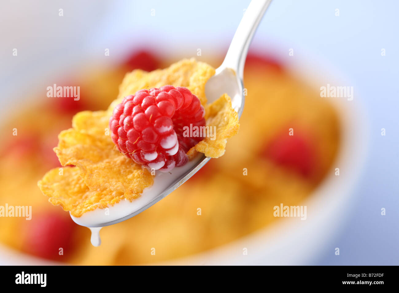 Spoon with milk corn flakes and raspberry cereal bowl in background Stock Photo