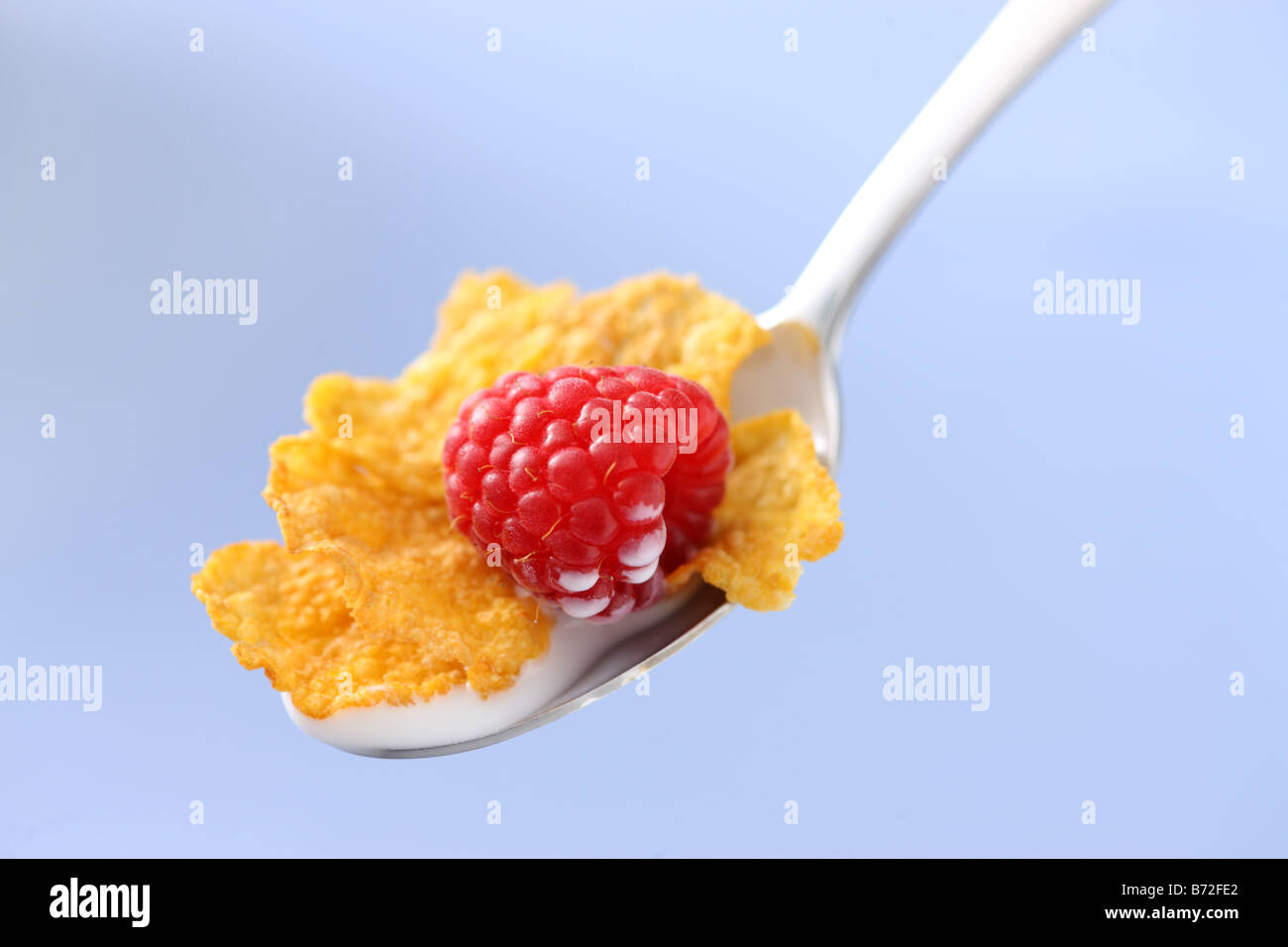 Corn flakes and raspberry in spoon blue background Stock Photo