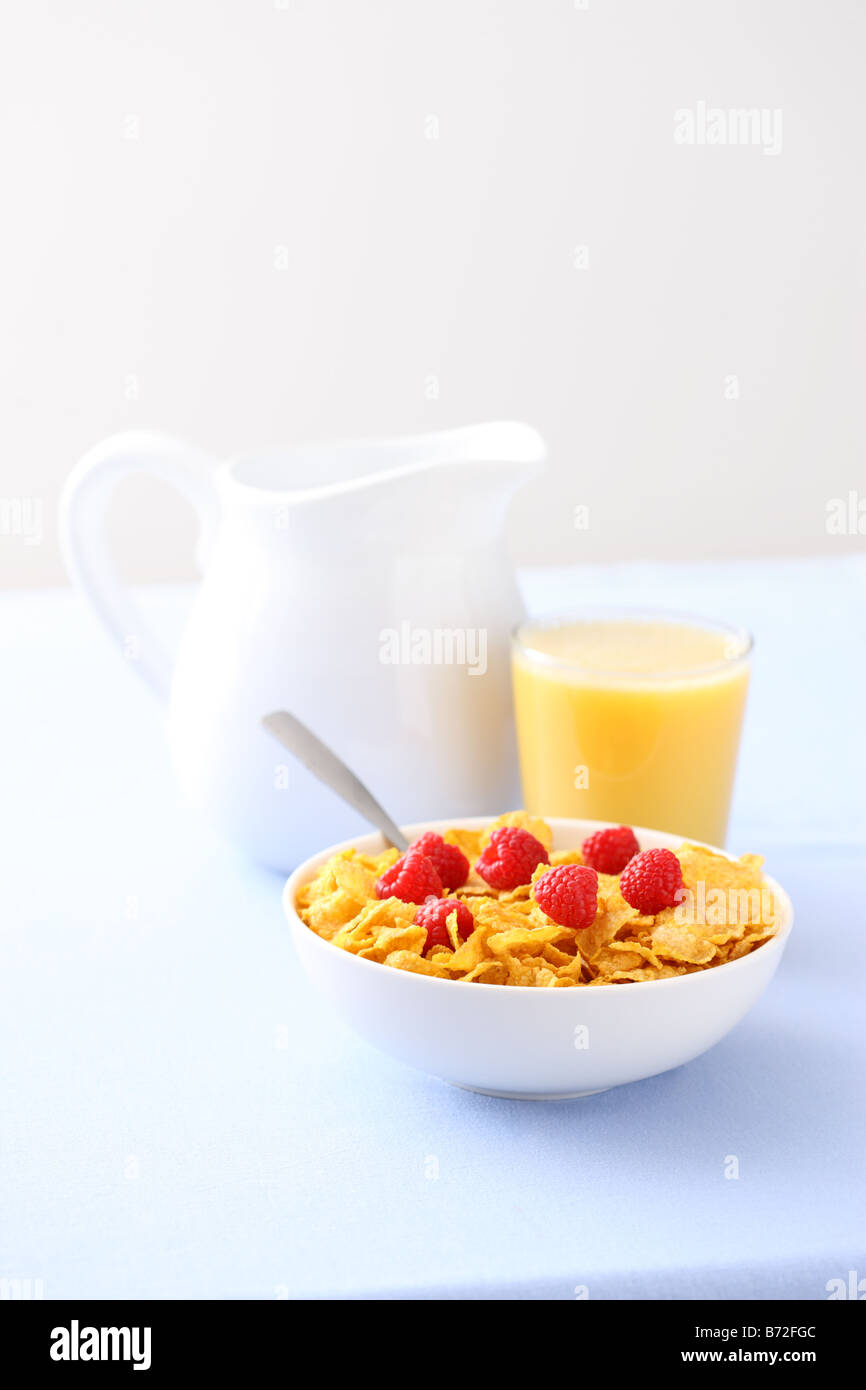 Healthy breakfast cereal fresh berries and orange juice Stock Photo