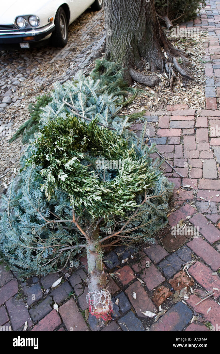 Discarded Christmas tree and wreath Stock Photo