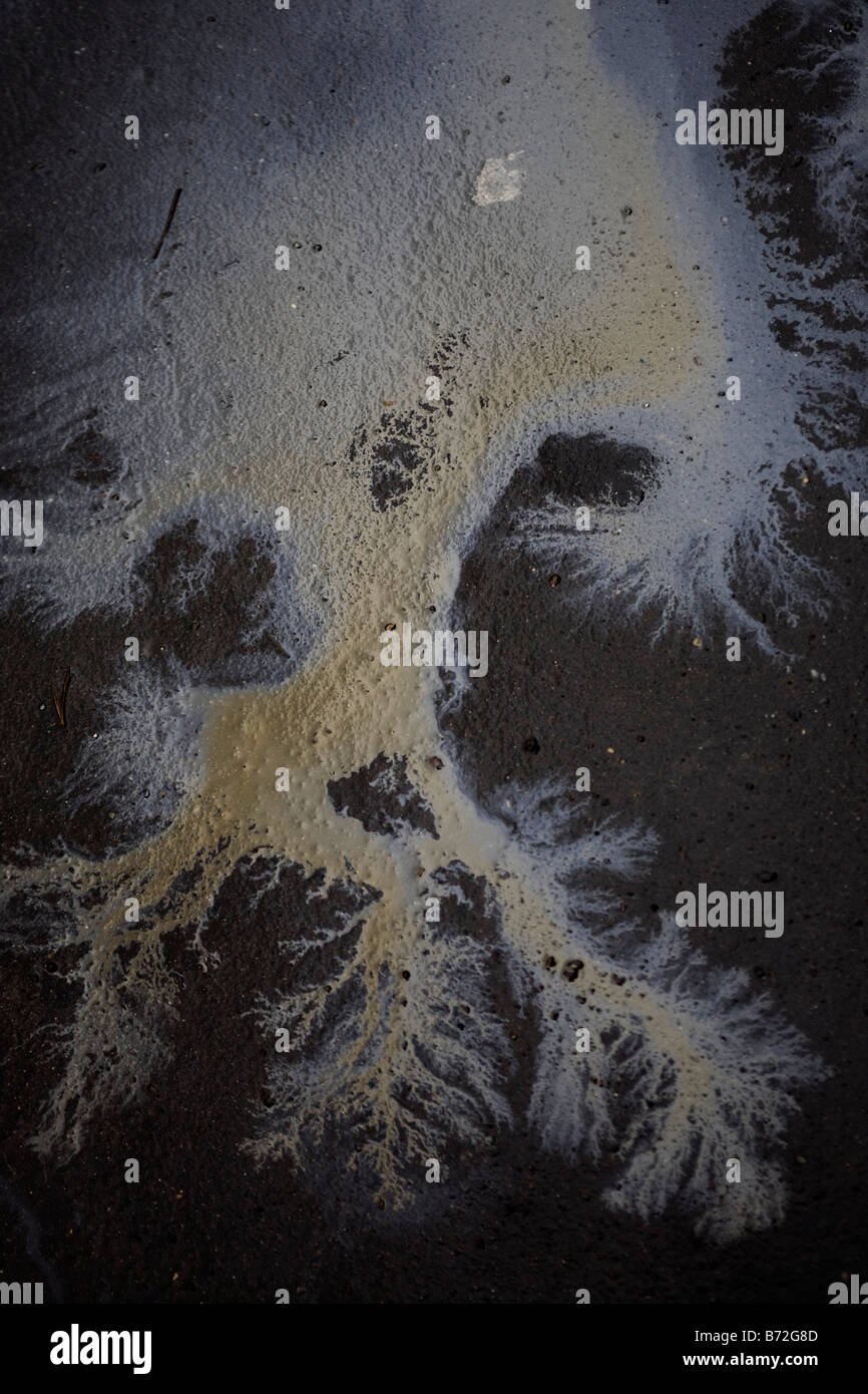 Wet oil spill on asphalt roadway USA Stock Photo Alamy