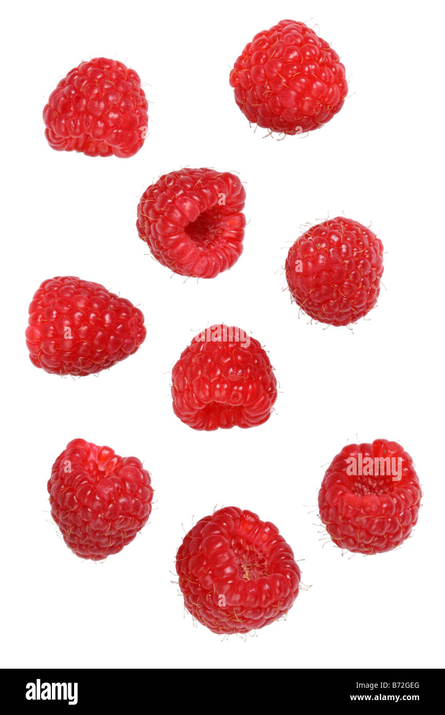 Red raspberries cut out on white background Stock Photo