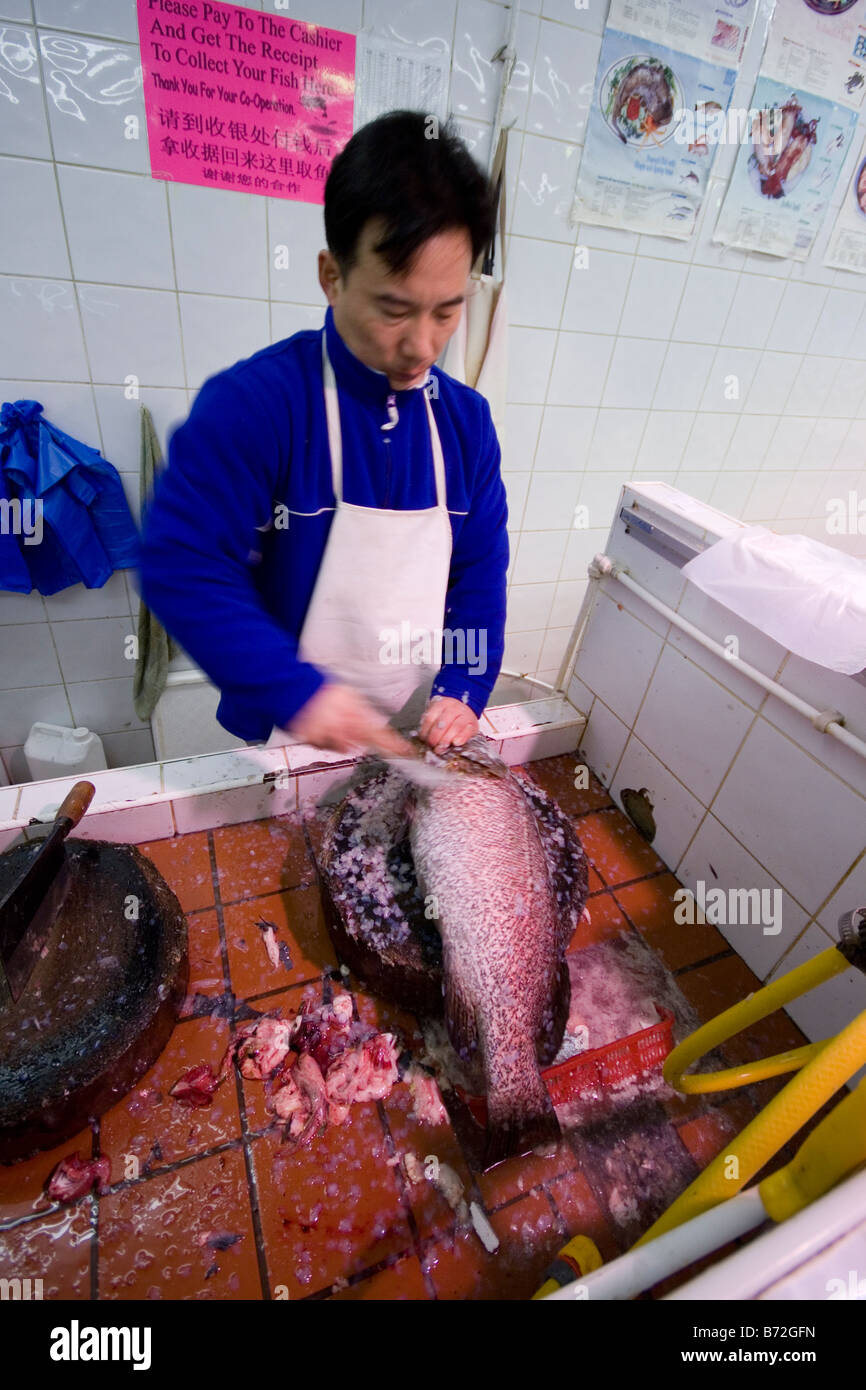 A fishmonger descales a large sea fish in a supermarket. Stock Photo