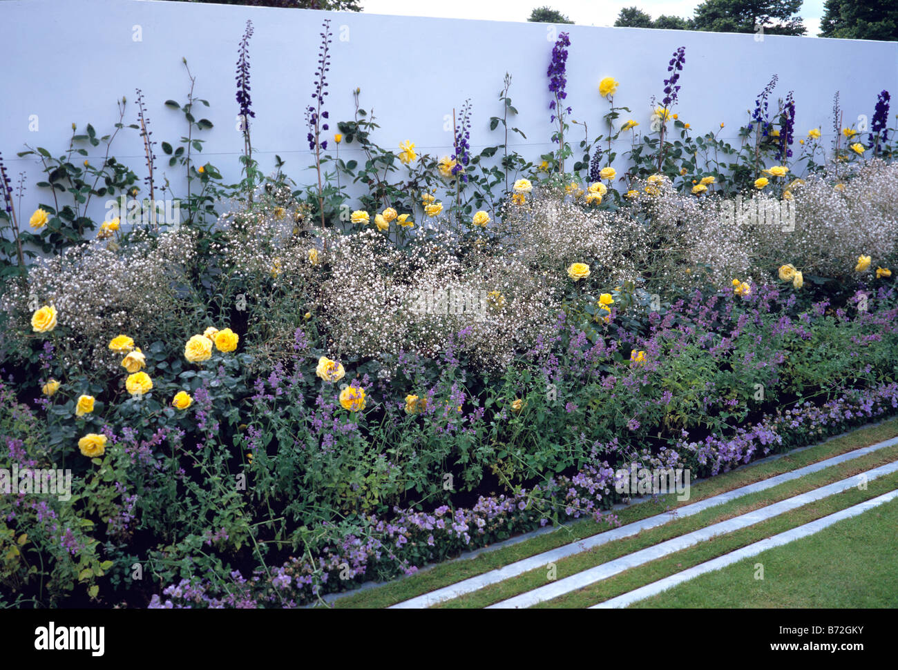 Blue white and yellow contemporary garden Stock Photo: 21569967 - Alamy