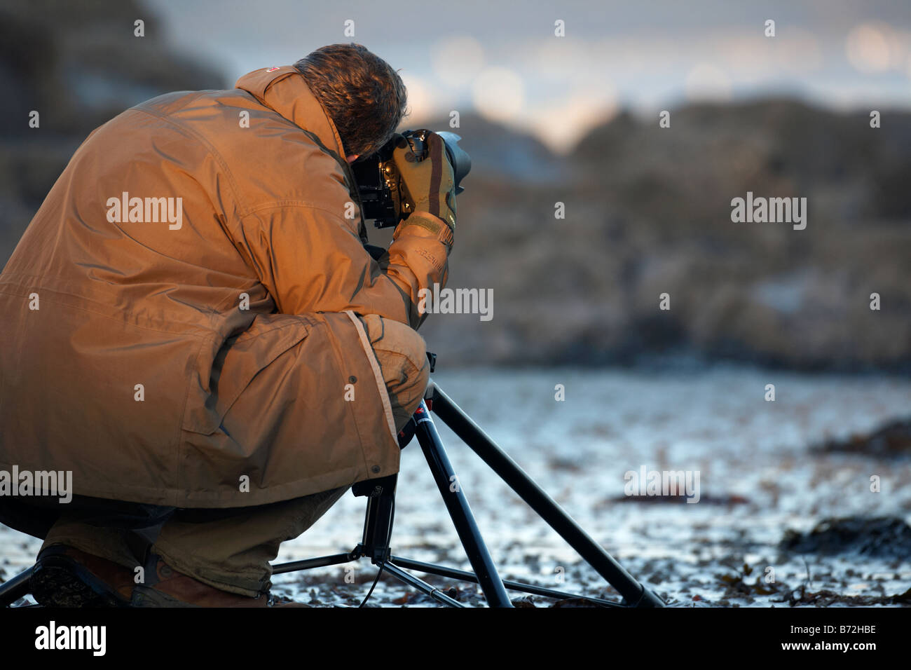photographer using camera on tripod to take photos of coastal birds at ...