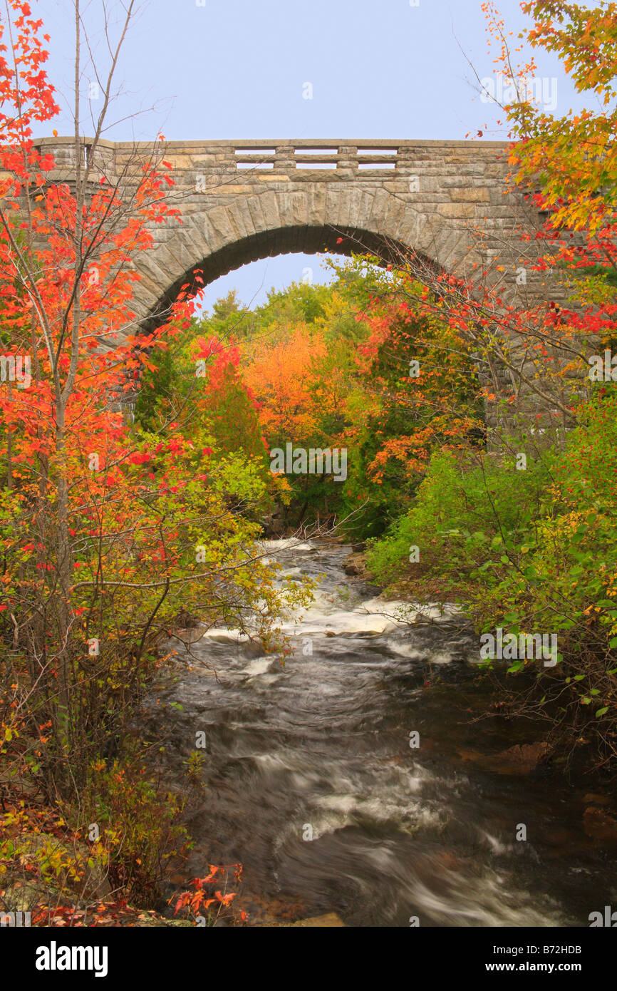Duck Brook Bridge, Carriage Road, Acadia National Park, Maine, USA Stock Photo