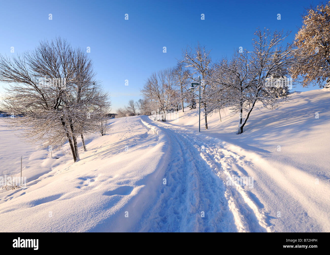 Christmas morning after a fresh snowfall in Bell Park, Sudbury, Ontario, Canada Stock Photo