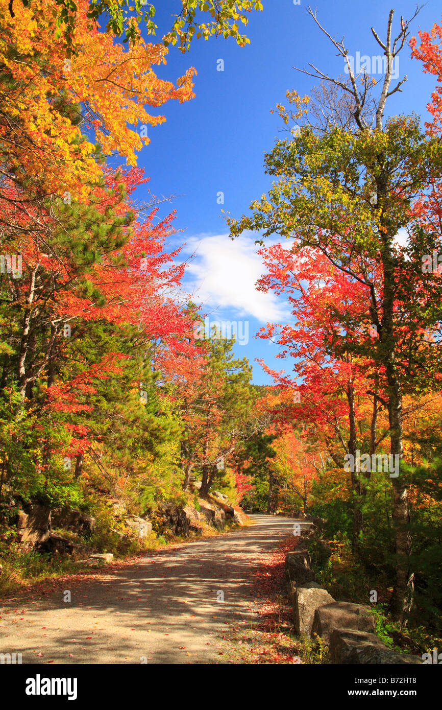 Carriage Road near Upper Hadlock Pond, Acadia National Park, Maine, USA Stock Photo Alamy