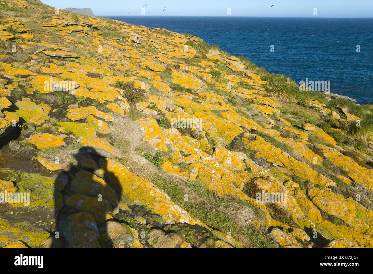 Shadow of photographer on meadow Falkland Islands Stock Photo