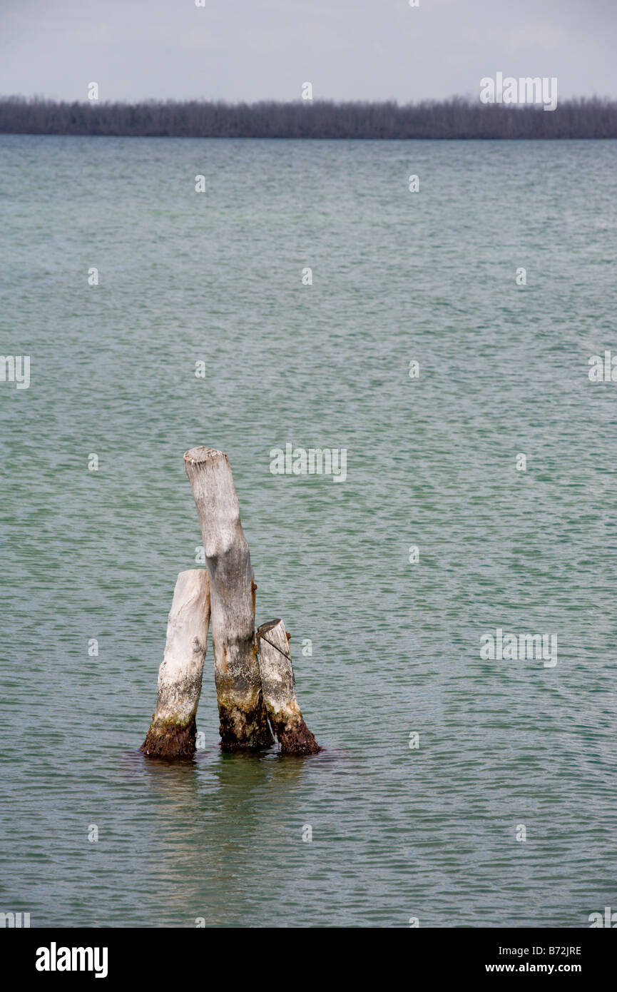 Posts in ocean waters in Cancun Mexico Stock Photo