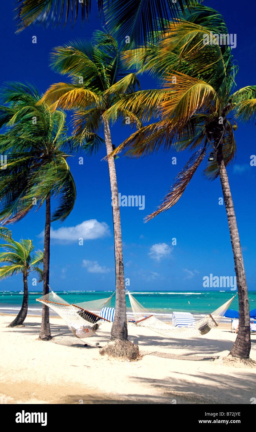 Beach in San Juan Puerto Rico Caribbean Stock Photo - Alamy