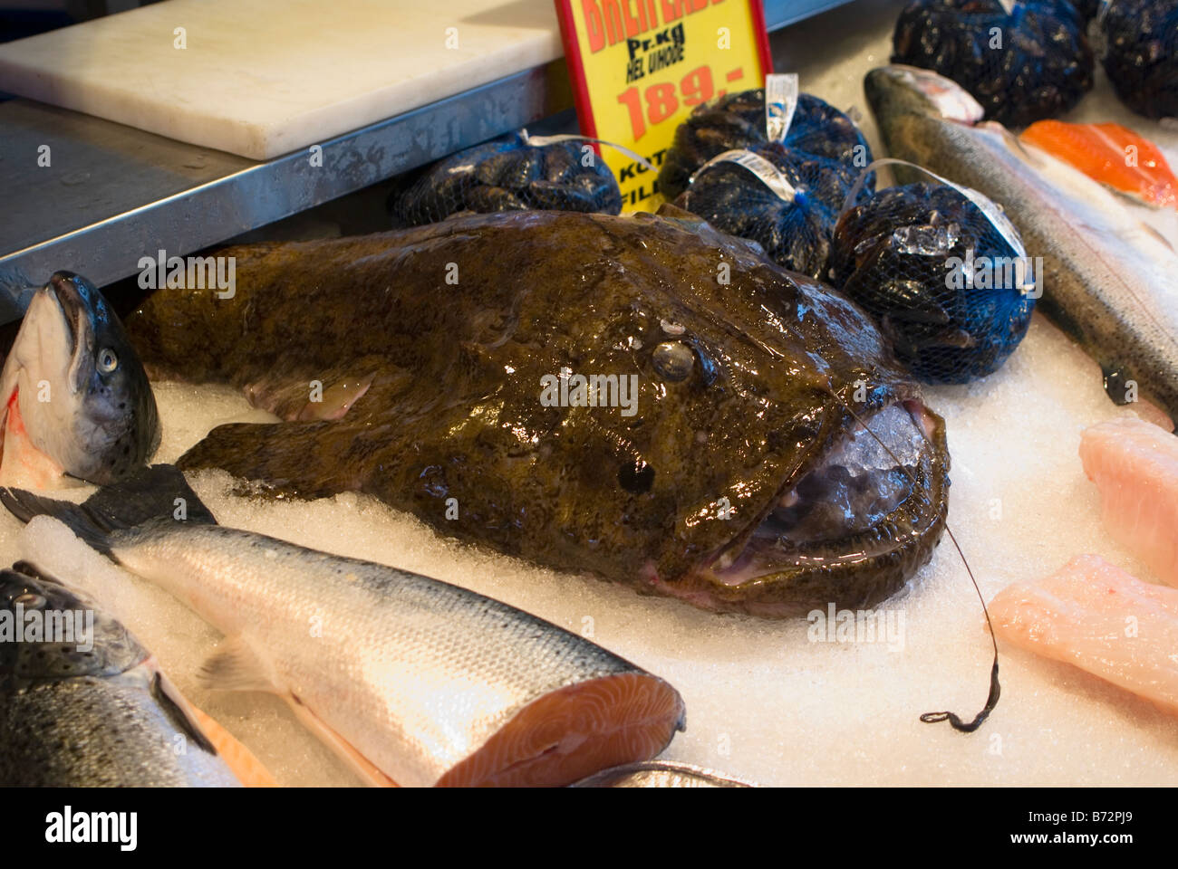 Anglerfish at Fish market in Bergen Stock Photo Alamy