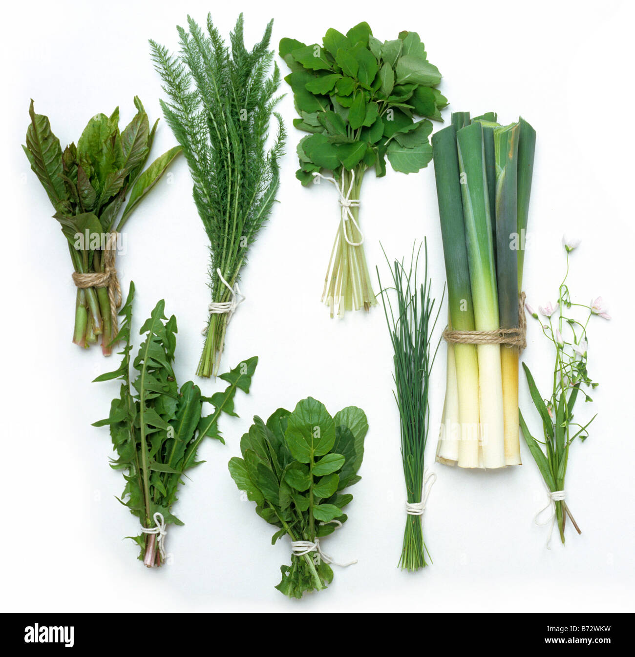 Bunches of wild herbs and edible leaves Stock Photo