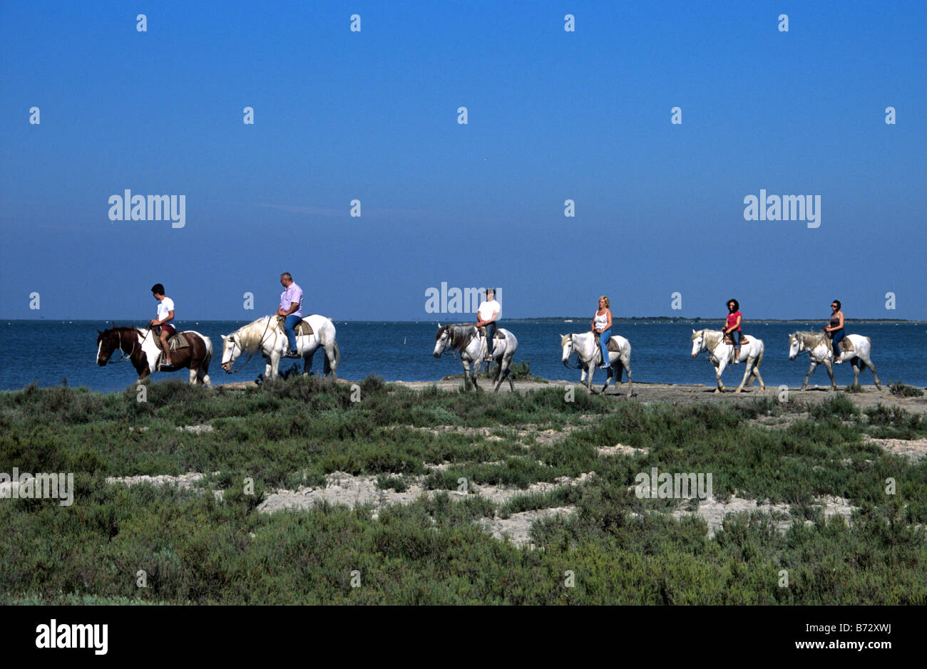 Horseriding on White Camargue Horses Along the Shores or Banks of the Etang (or Lake) Vaccarès, Camargue, Provence, France Stock Photo