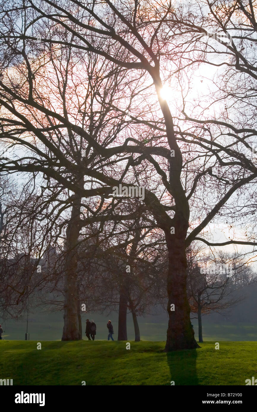 Greenwich park london sun hi-res stock photography and images - Alamy