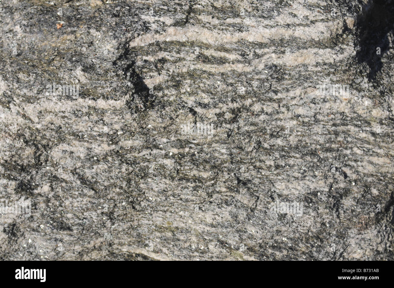 closeup of the structure of gneiss, a metamorphic rock Stock Photo