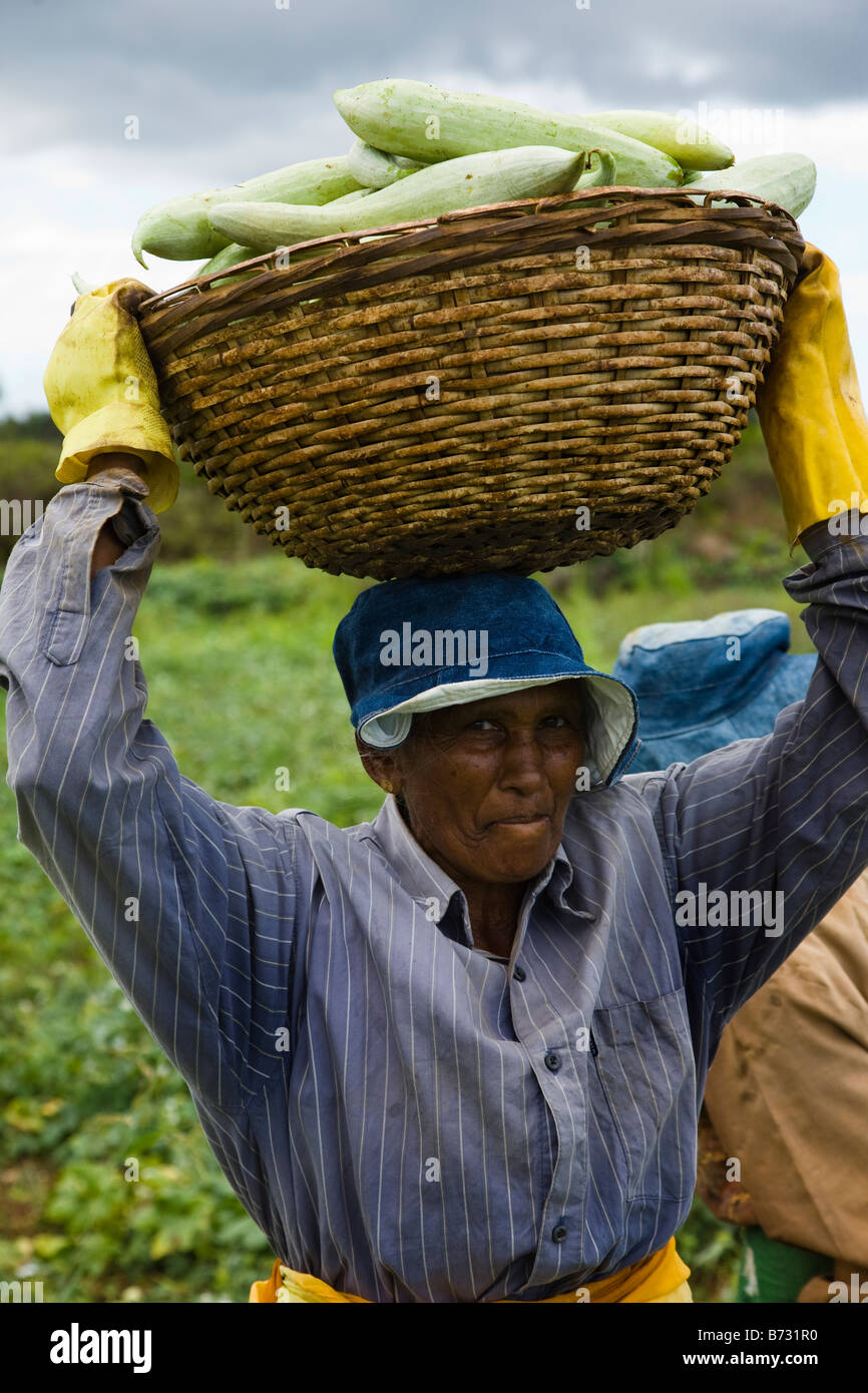 Women carrying baskets head hi-res stock photography and images - Alamy