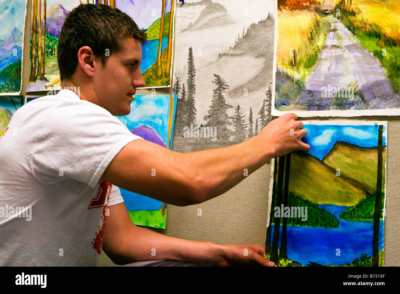 Image of an young male art student fixing his completed water color to a display wall where there are others hanging Stock Photo