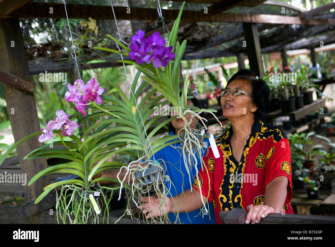 Suriname, Paramaribo. Chinese women buying orchids. Stock Photo