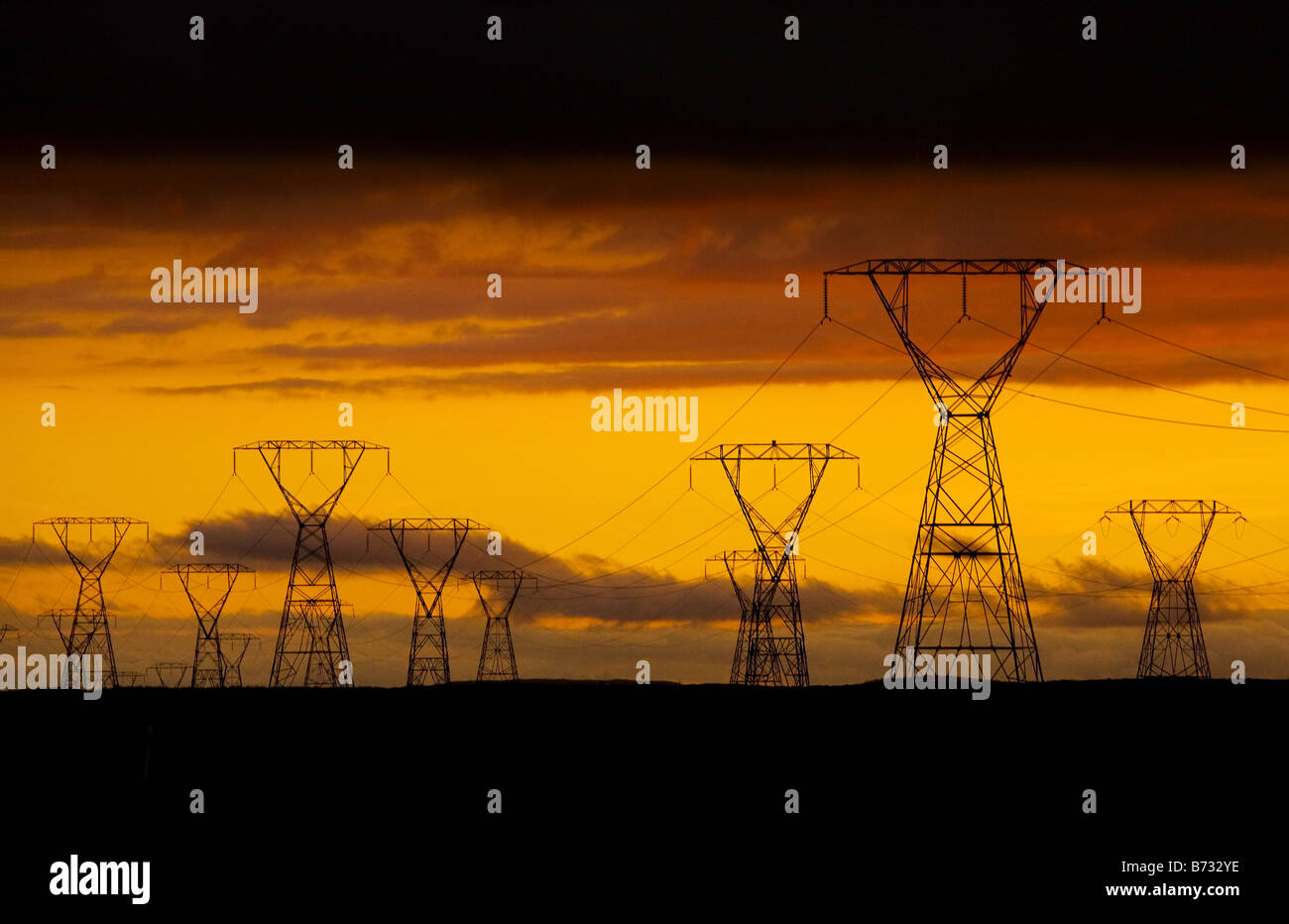 Electricity pylons and power lines at sunset. New Zealand, North Island