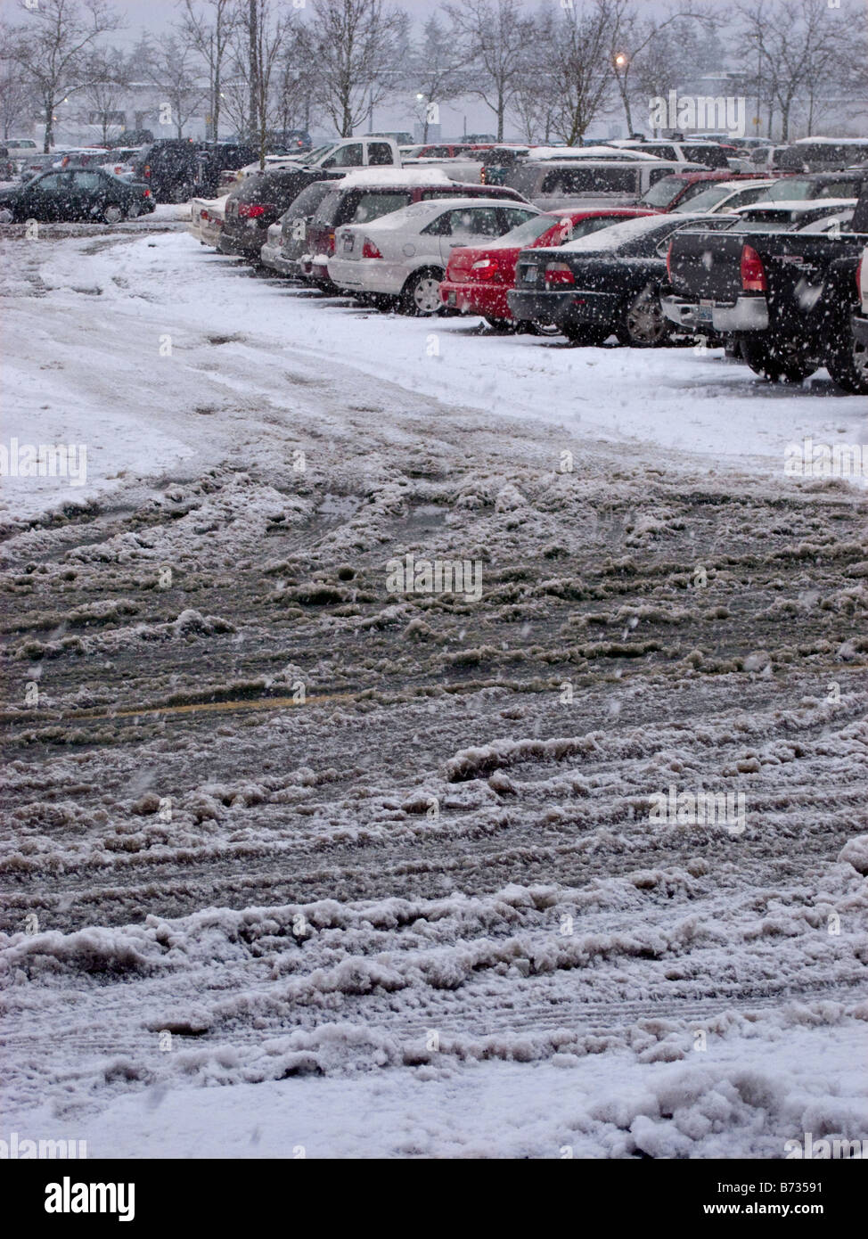 cars in parking lot during snowstorm Seattle, WA, USA Stock Photo