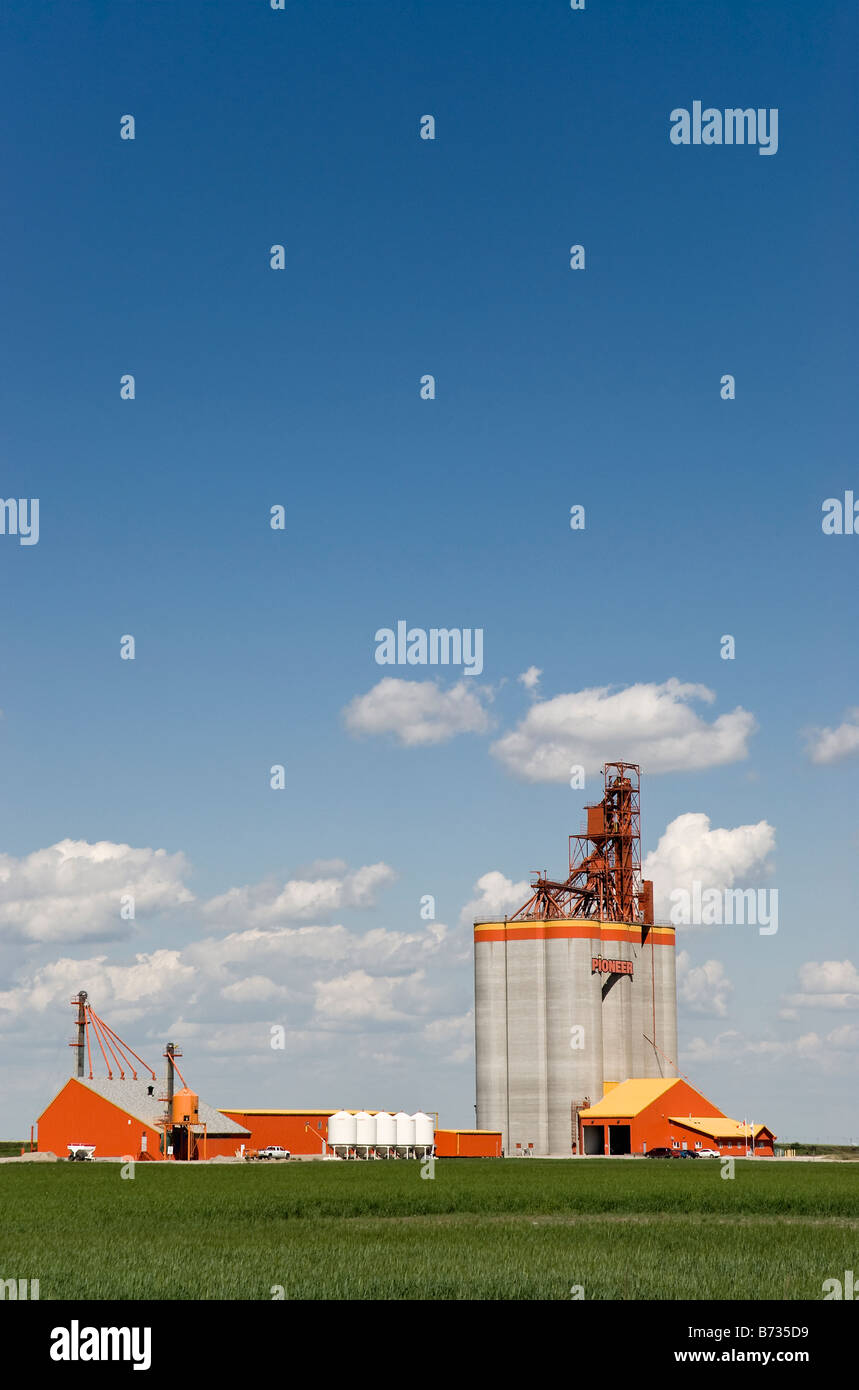 A grain storage facility operated by Pioneer in Carseland, south