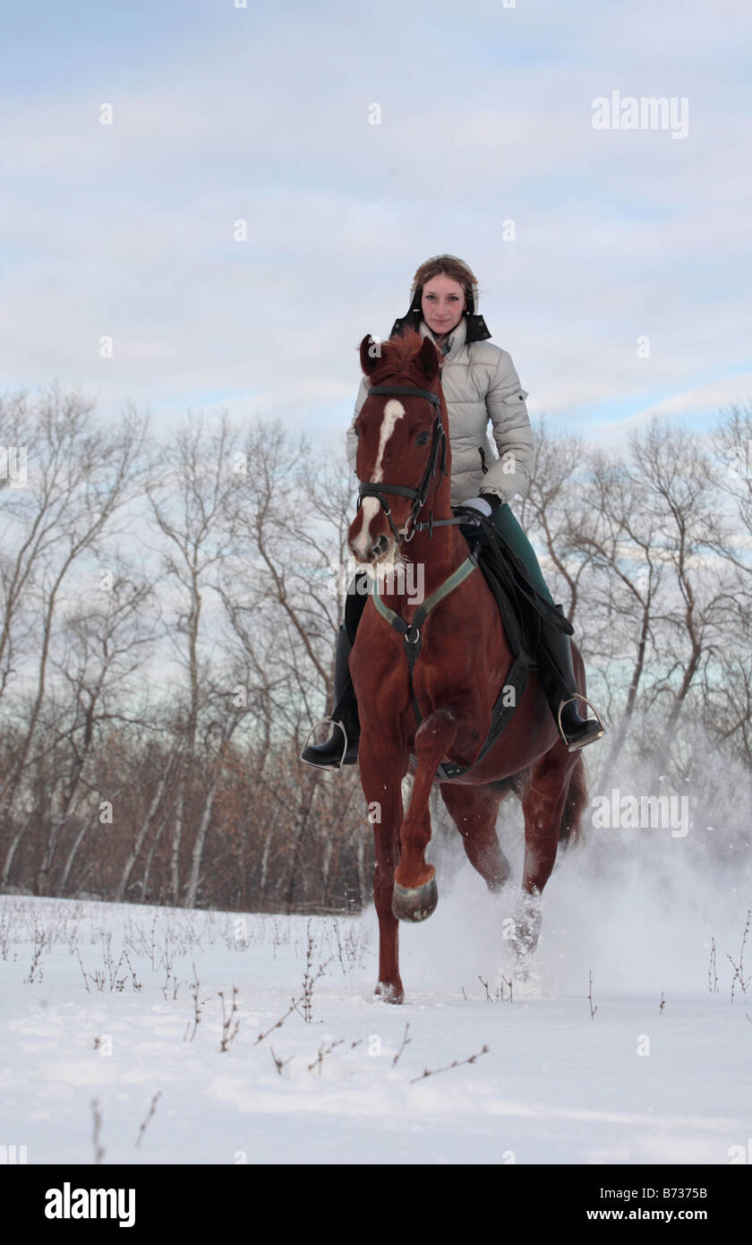 Lady rider galloping on back of a 'budenny horse' in the snow Stock Photo