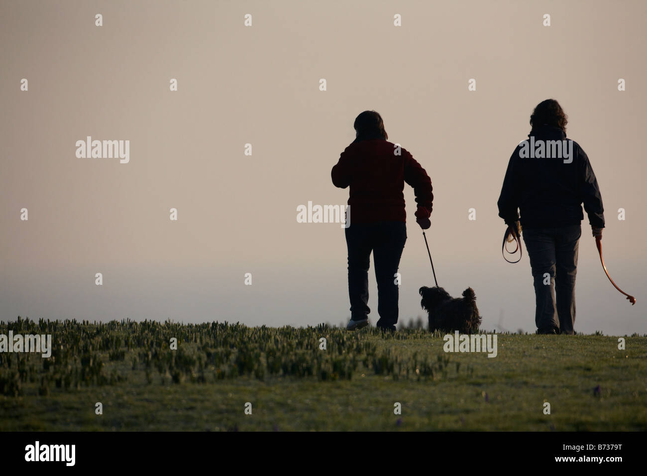 Two women with dog hi-res stock photography and images - Alamy