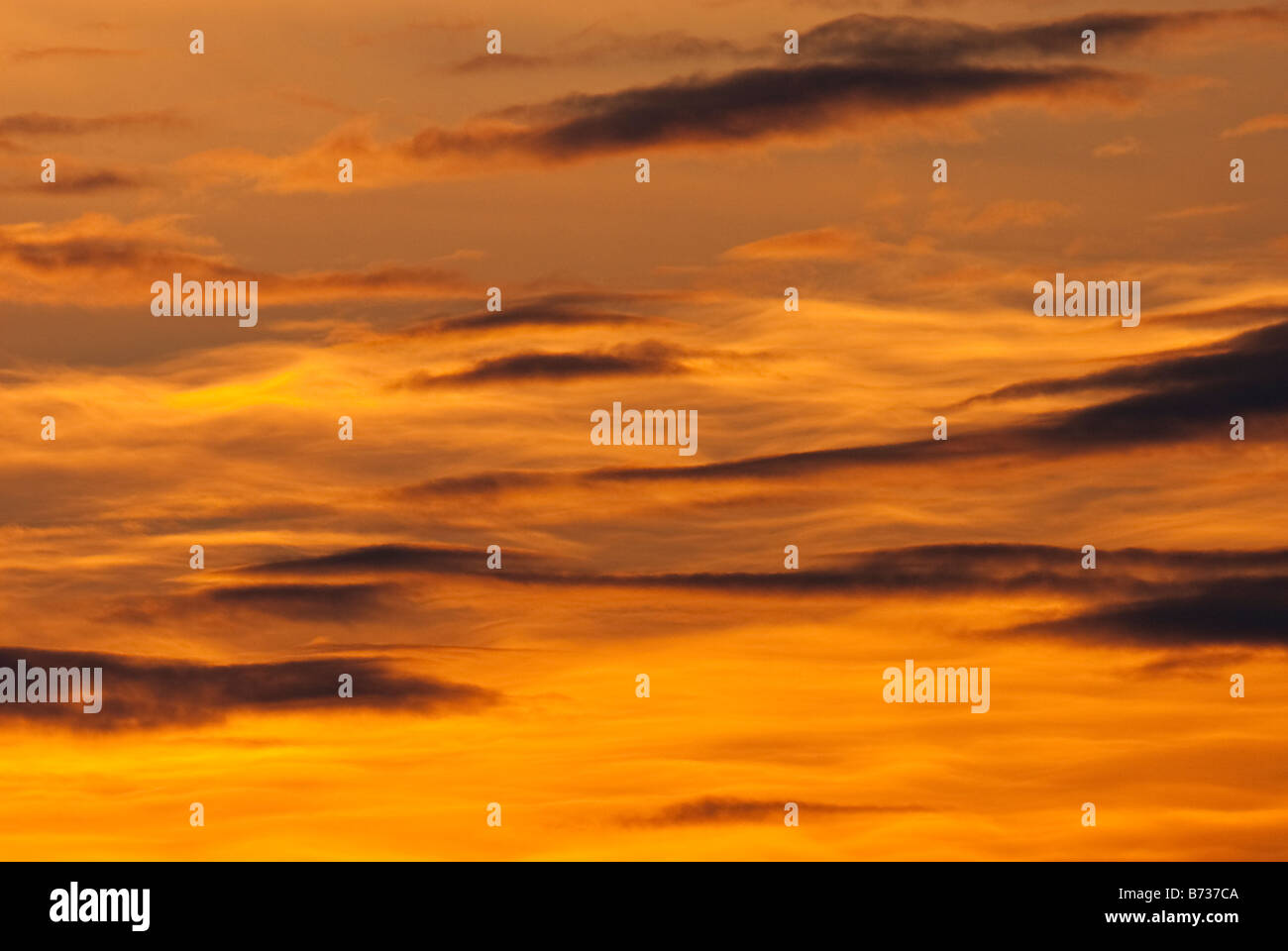 Abstract of orange clouds at sunset. Stock Photo