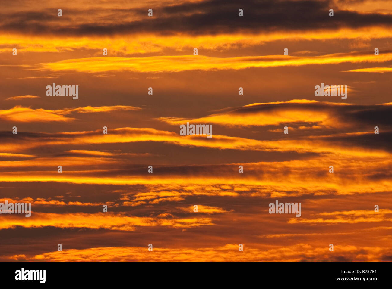 Abstract of orange clouds at sunset. Stock Photo