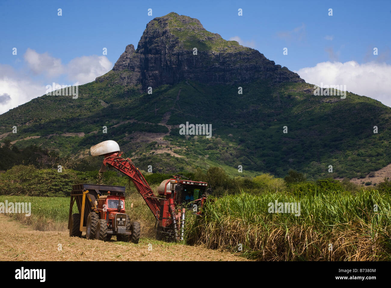 Mauritius sugarcane plantation farmer hi-res stock photography and ...