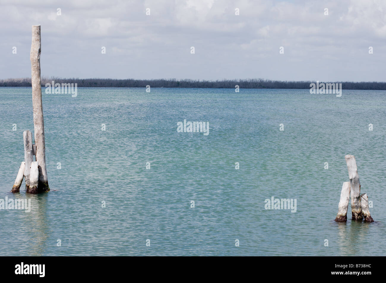 Posts in ocean waters in Cancun Mexico Stock Photo