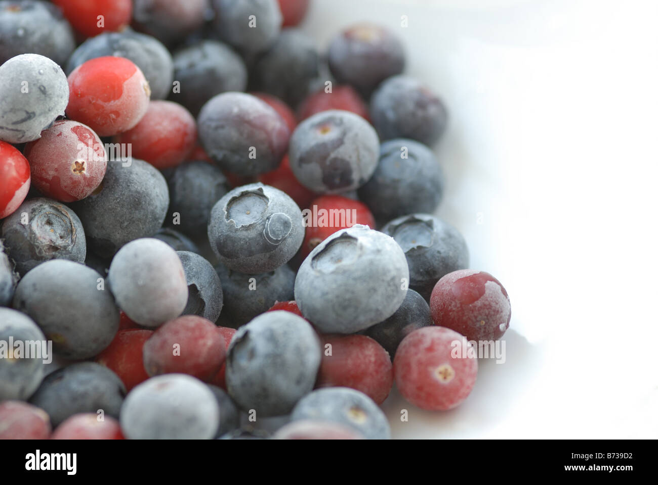 Blueberries & cranberries Stock Photo Alamy