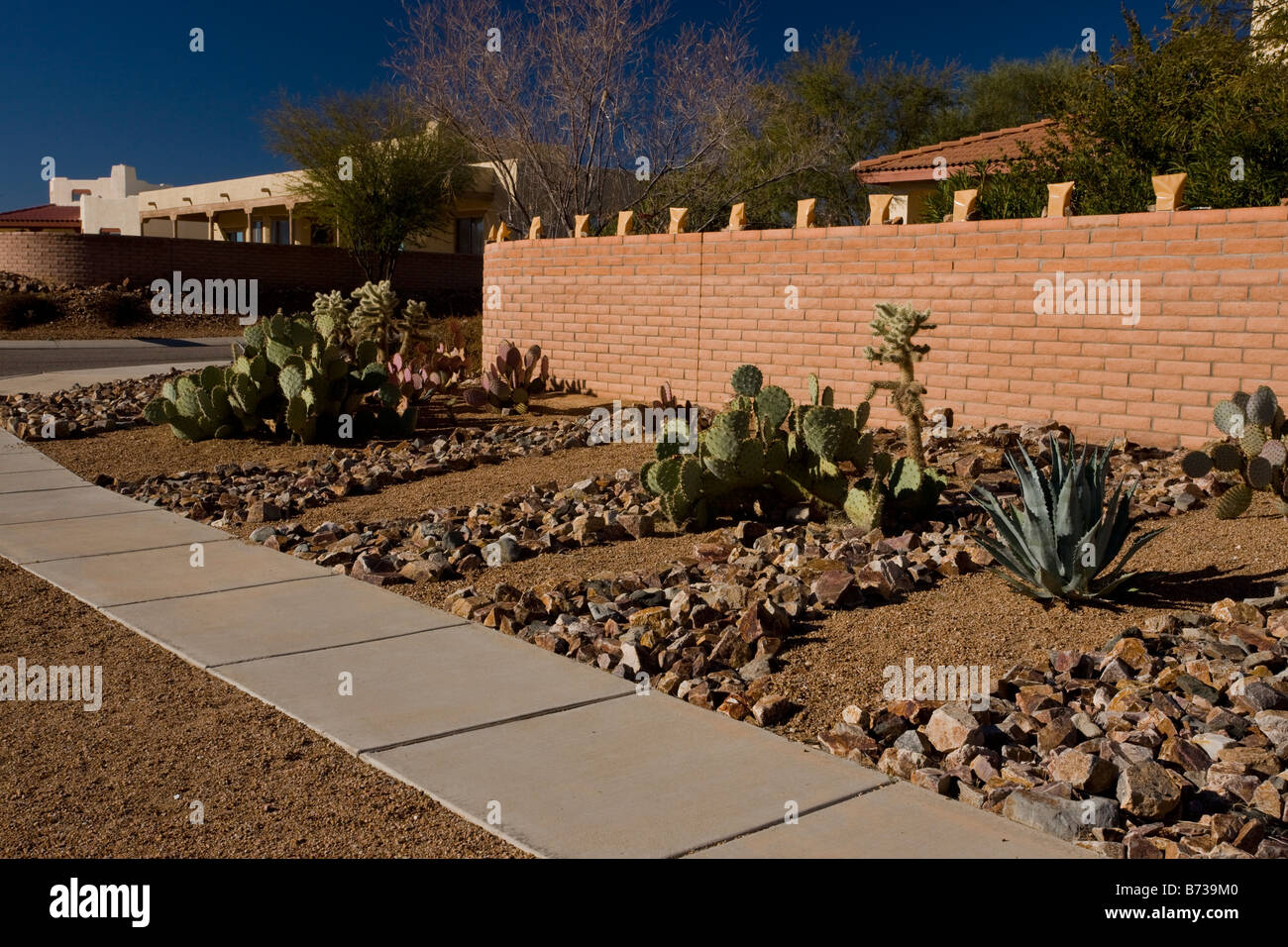 Desert Gardening Using Drought Resistant Species In A Low Rainfall