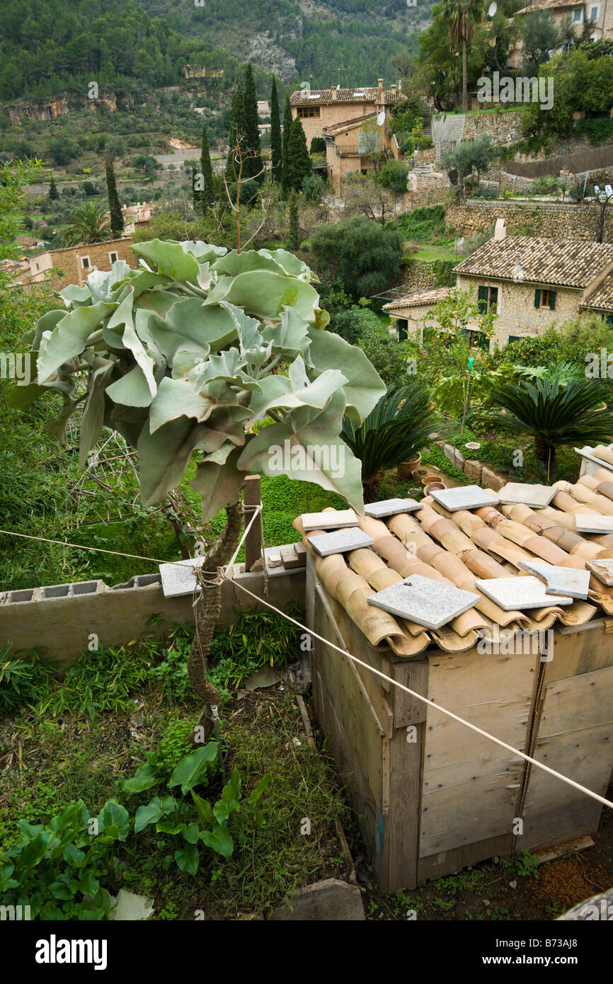 Mallorca Deia or Deja village view Stock Photo