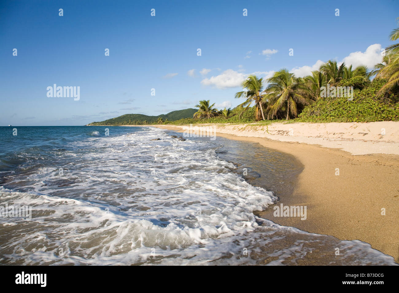 Vieques Puerto Rico Stock Photo Alamy
