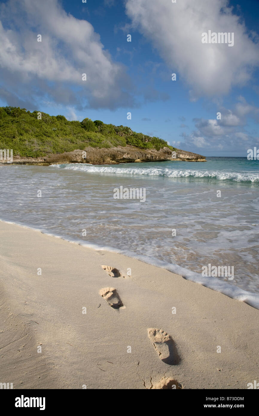 Puerto rico vieques navio beach hi-res stock photography and images - Alamy