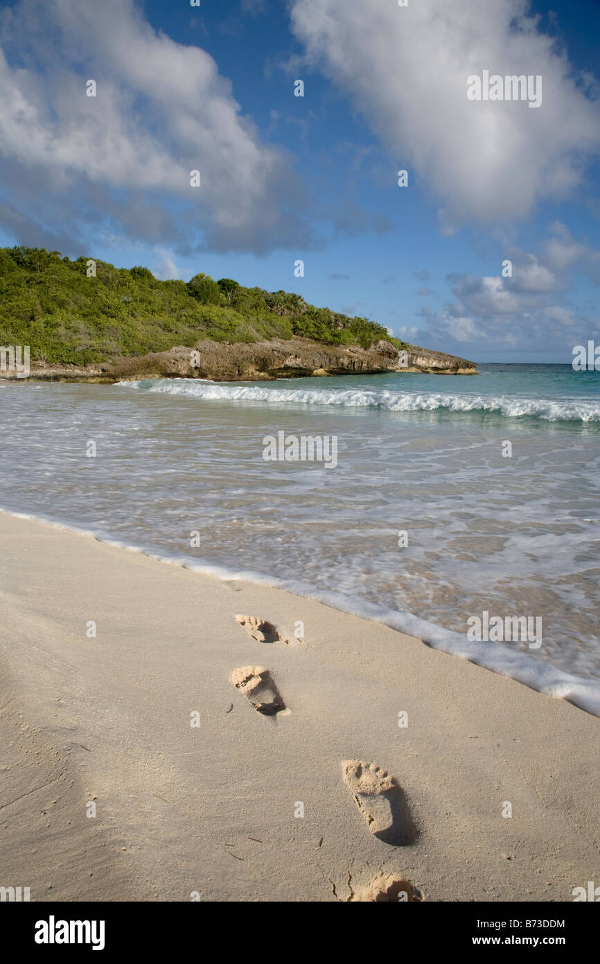 Navio beach in Vieques Puerto Rico Stock Photo Alamy
