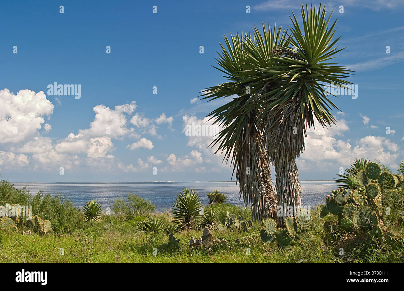 Laguna madre hires stock photography and images Alamy